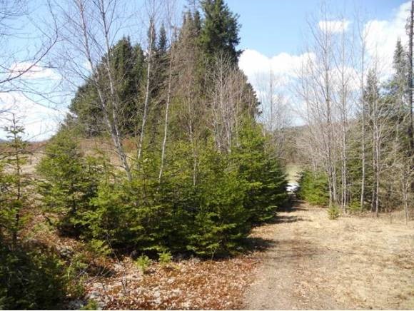 14 Hall Stream Road Colebrook, NH 03576 - Photo 3 of 6