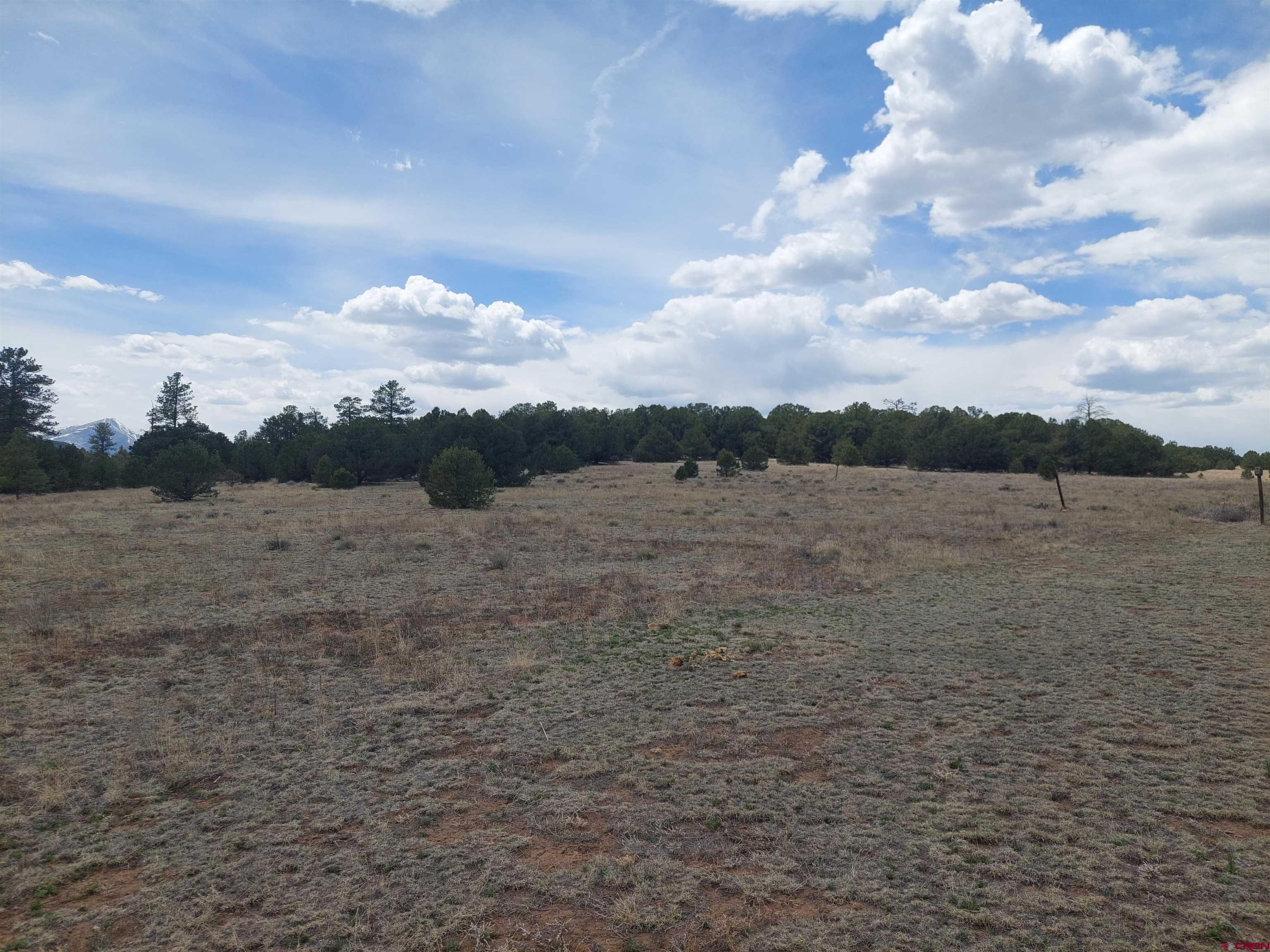 Tract-1 Tract-1 Q Path Cotopaxi, CO 81223 - Photo 11 of 22