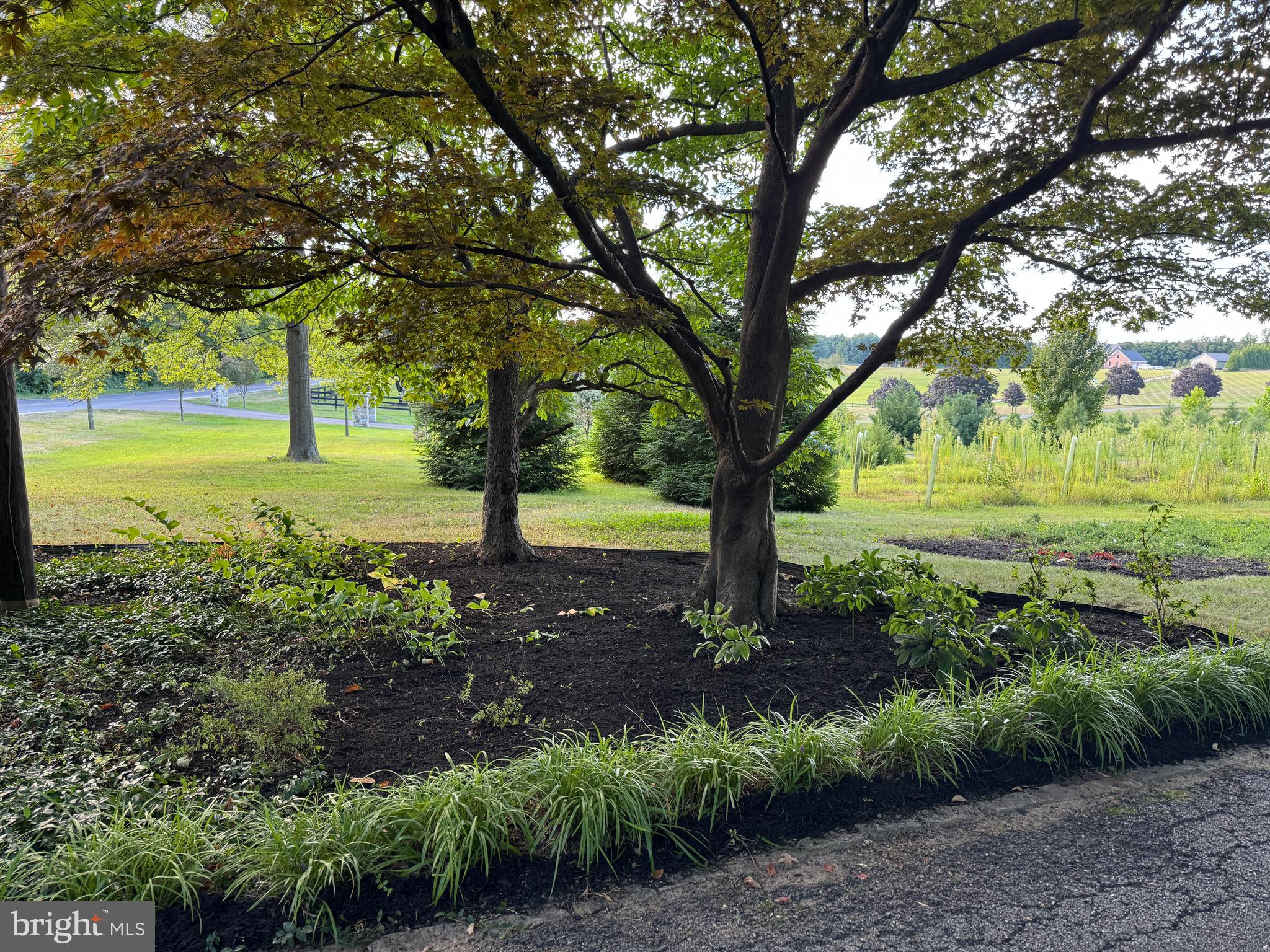 7201 Hawkins Creamery Road Gaithersburg, MD 20882 - Photo 2 of 19 a view of a garden with an trees