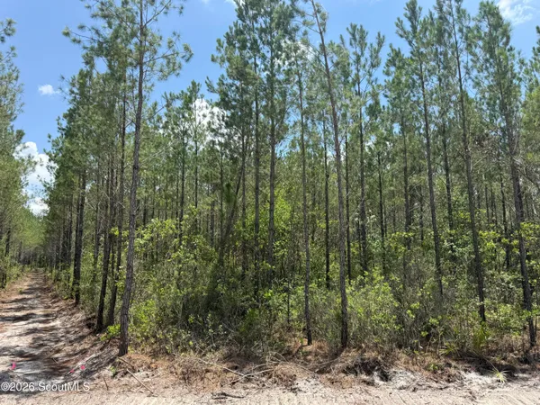 $57,000 | Lot 10 Corbitt Road, Unit LOT 10, Manor, GA 31550