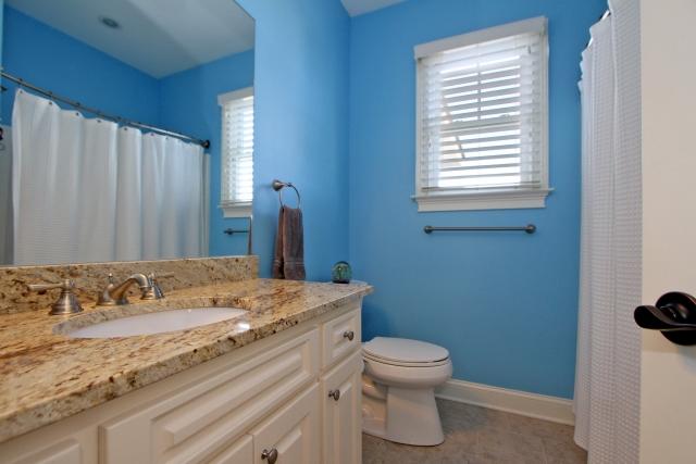 1060 Rivershore Road Charleston, SC 29492 - Photo 19 of 28 Blue Bath