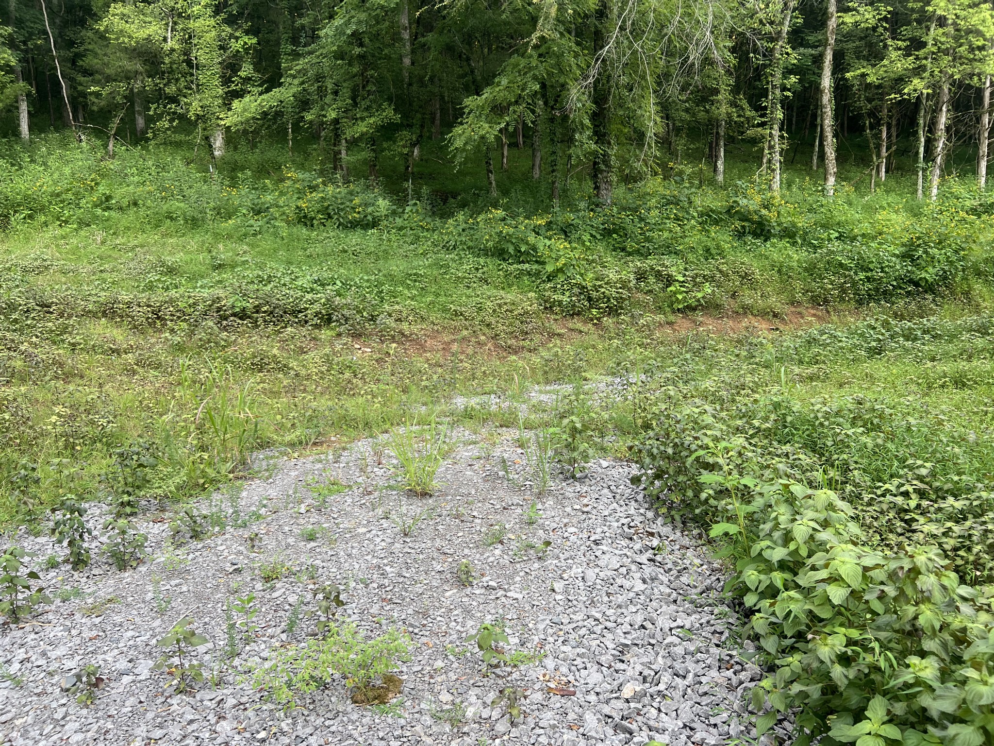 0 Club Springs Road Elmwood, TN 38560 - Photo 27 of 34 Gallery Image 27