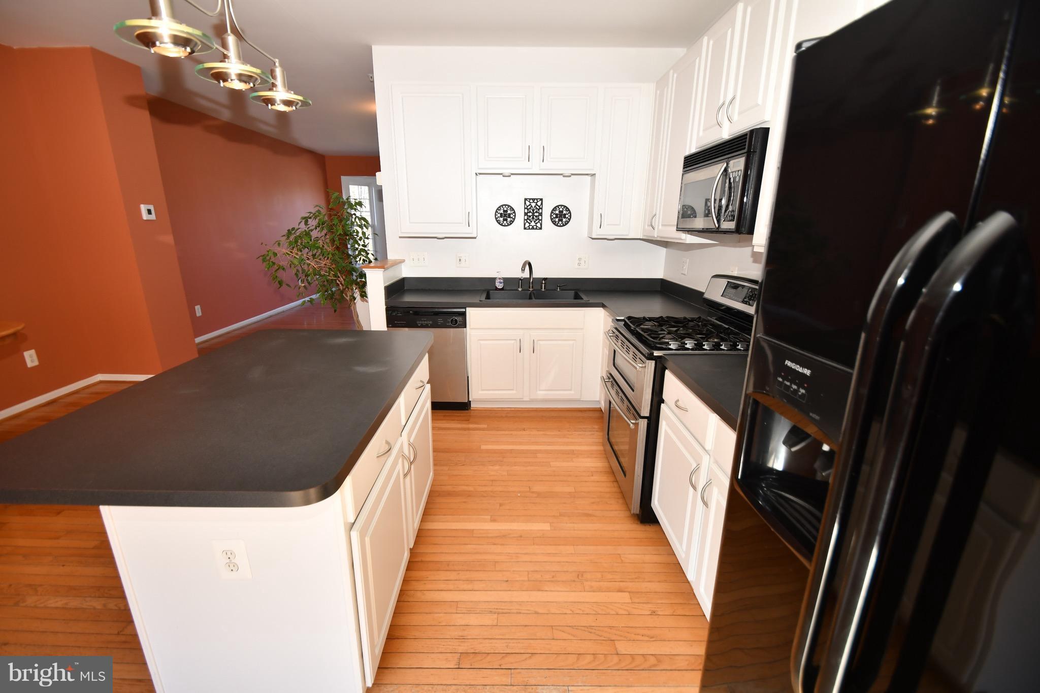 33 Springtide Court Baltimore, MD 21220 - Photo 14 of 28 a kitchen with a sink a counter top space and stainless steel appliances