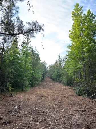 $39,000 | 5034 County Road, Kosciusko, MS 39090