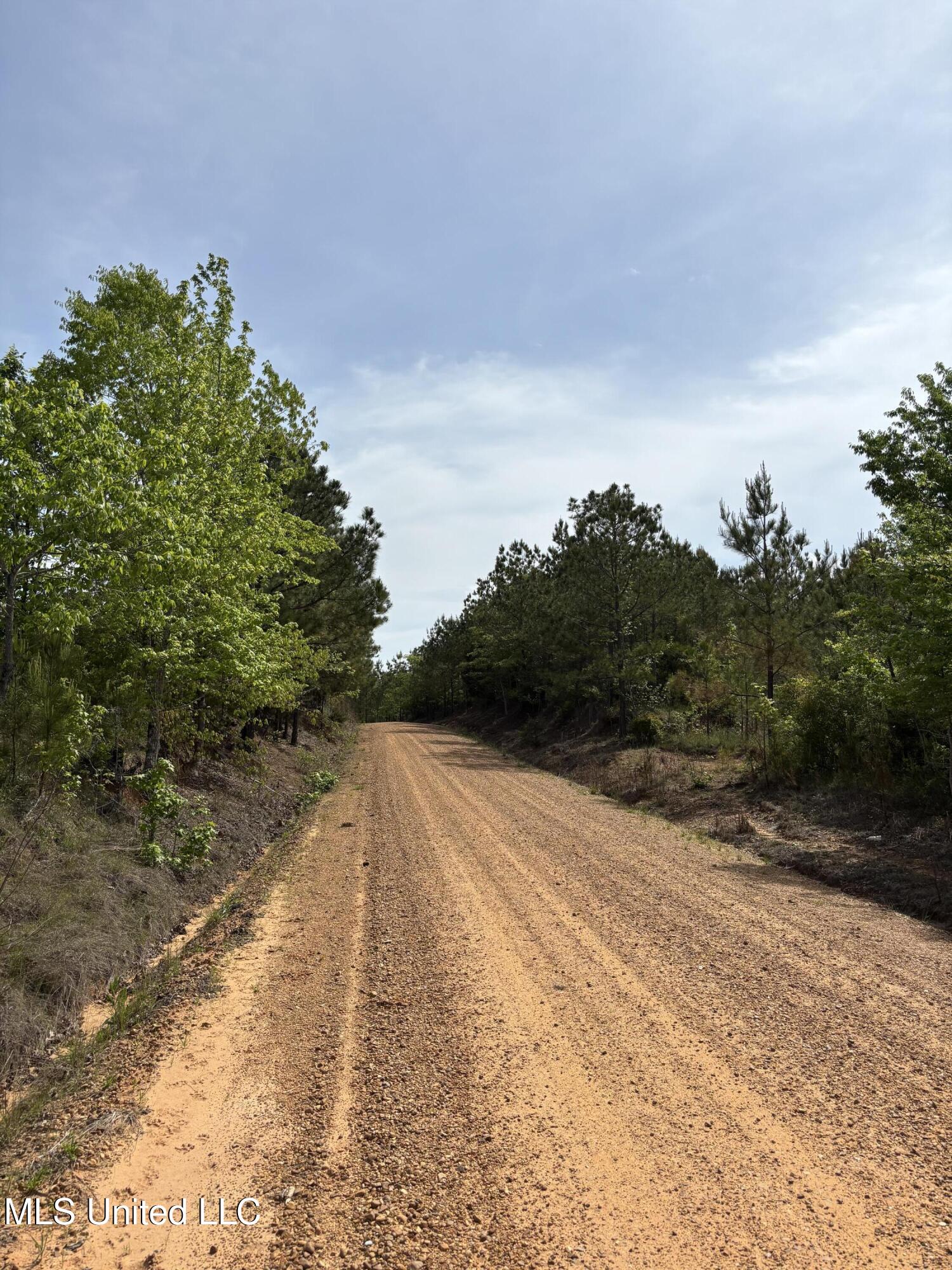 5034 County Road Kosciusko, MS 39090 - Photo 3 of 7 IMG_0567
