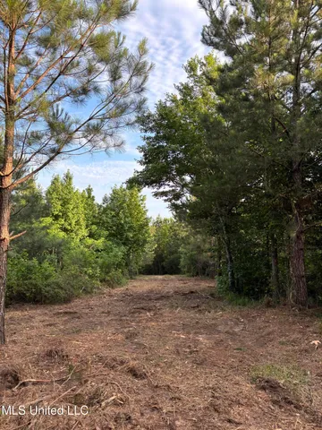 $39,000 | 5034 County Road, Kosciusko, MS 39090