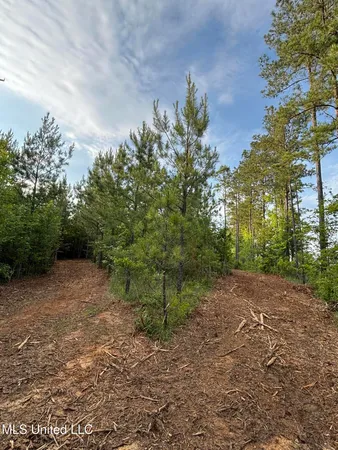 $39,000 | 5034 County Road, Kosciusko, MS 39090