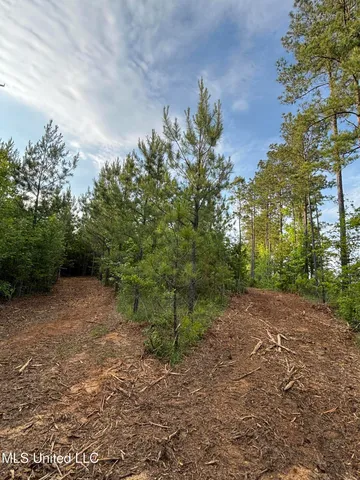 $39,000 | 5034 County Road, Kosciusko, MS 39090