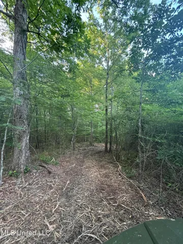 $39,000 | 5034 County Road, Kosciusko, MS 39090