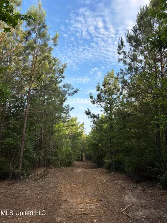 $39,000 | 5034 County Road, Kosciusko, MS 39090