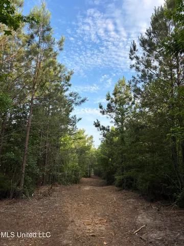 $39,000 | 5034 County Road, Kosciusko, MS 39090