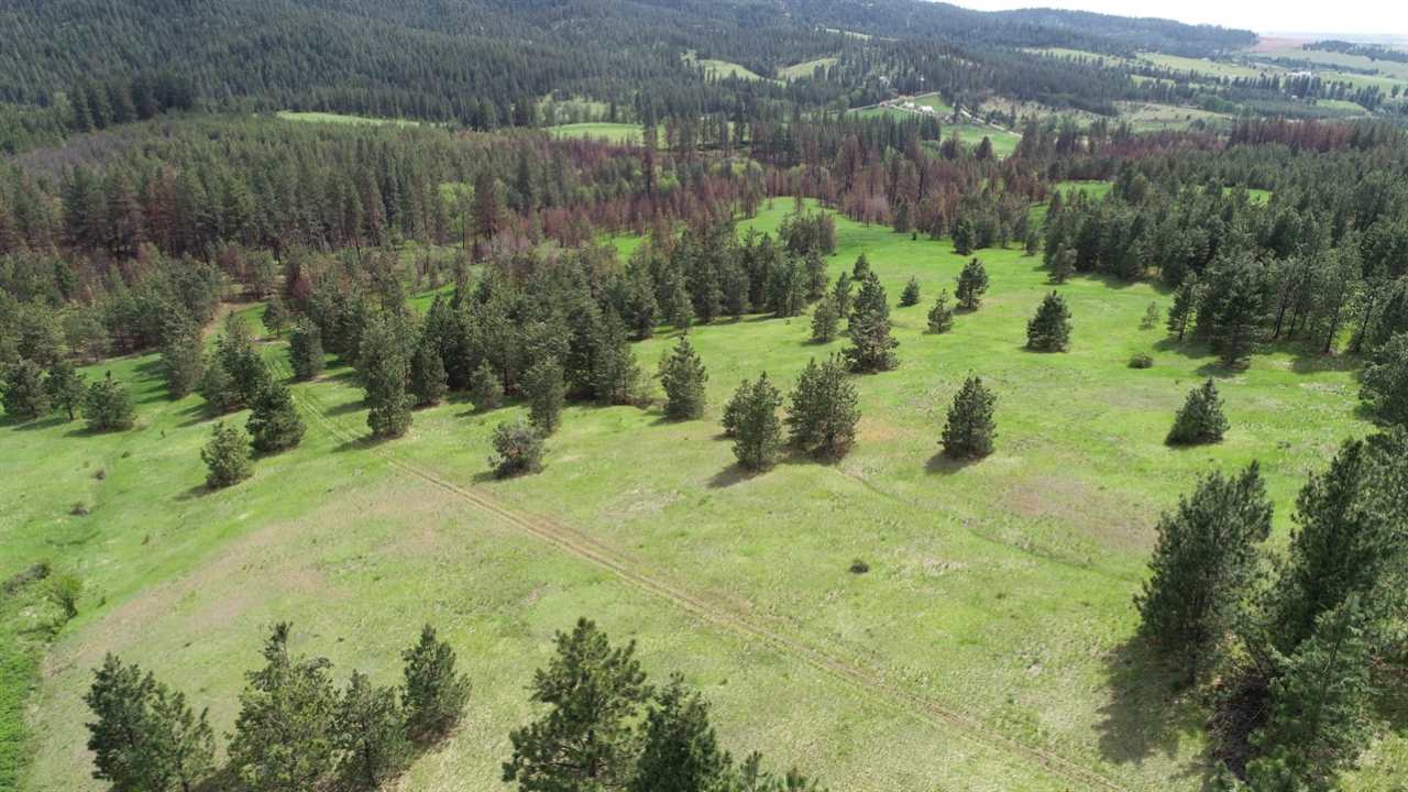 Nka South Jons Road Mica, WA 99023 - Photo 1 of 20 Gallery Image 1