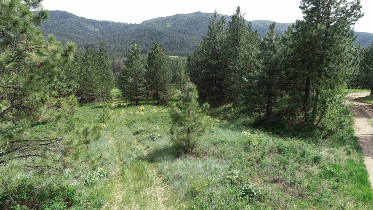 Nka South Jons Road Mica, WA 99023 - Photo 11 of 20 Gallery Image 11
