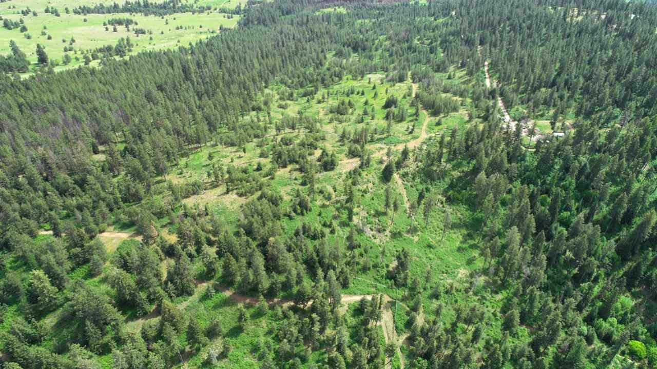 Nka South Jons Road Mica, WA 99023 - Photo 12 of 20 Gallery Image 12