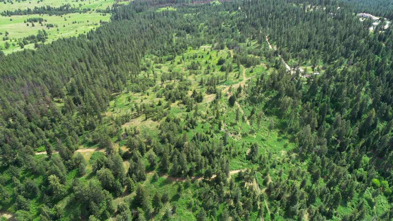 Nka South Jons Road Mica, WA 99023 - Photo 13 of 20 Gallery Image 13