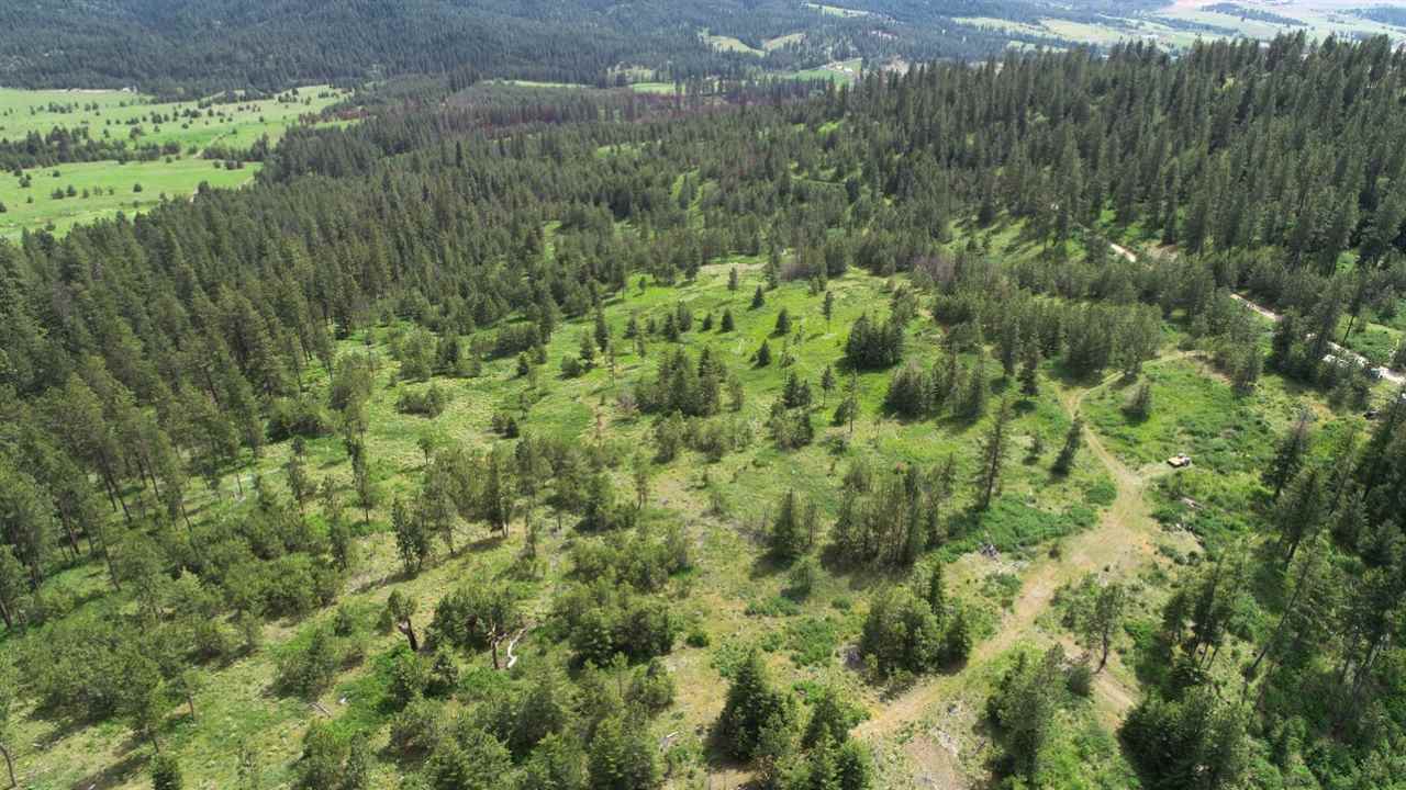 Nka South Jons Road Mica, WA 99023 - Photo 14 of 20 Gallery Image 14