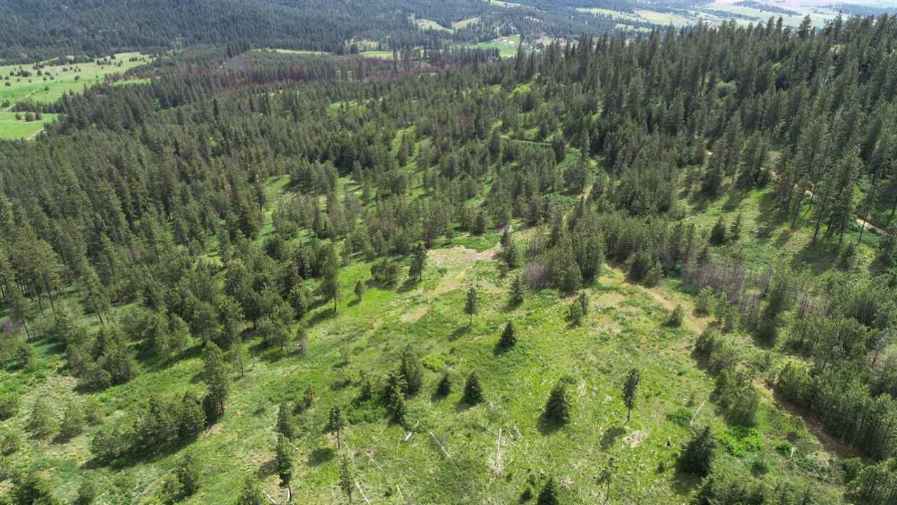 Nka South Jons Road Mica, WA 99023 - Photo 15 of 20 Gallery Image 15