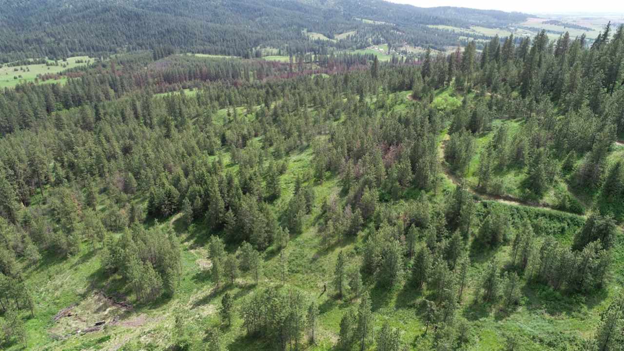 Nka South Jons Road Mica, WA 99023 - Photo 16 of 20 Gallery Image 16