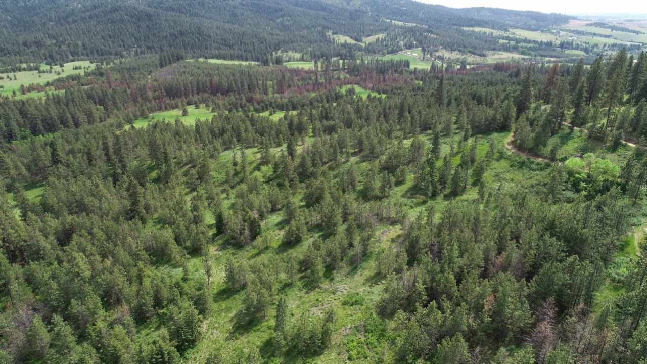 Nka South Jons Road Mica, WA 99023 - Photo 17 of 20 Gallery Image 17
