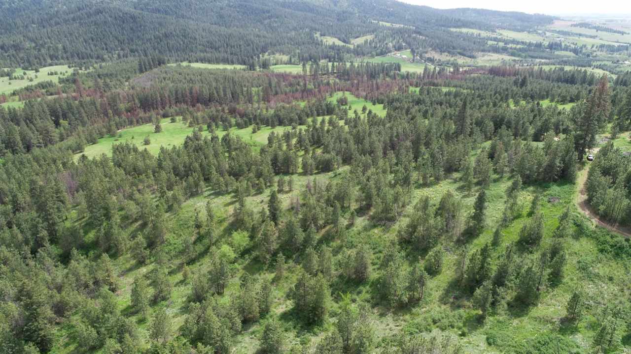 Nka South Jons Road Mica, WA 99023 - Photo 18 of 20 Gallery Image 18