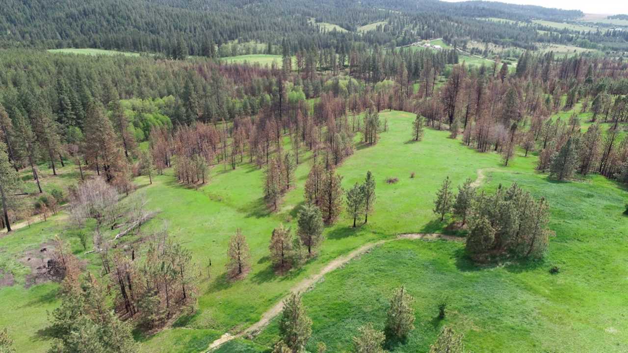 Nka South Jons Road Mica, WA 99023 - Photo 19 of 20 Gallery Image 19