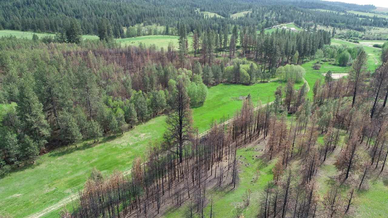 Nka South Jons Road Mica, WA 99023 - Photo 20 of 20 Gallery Image 20