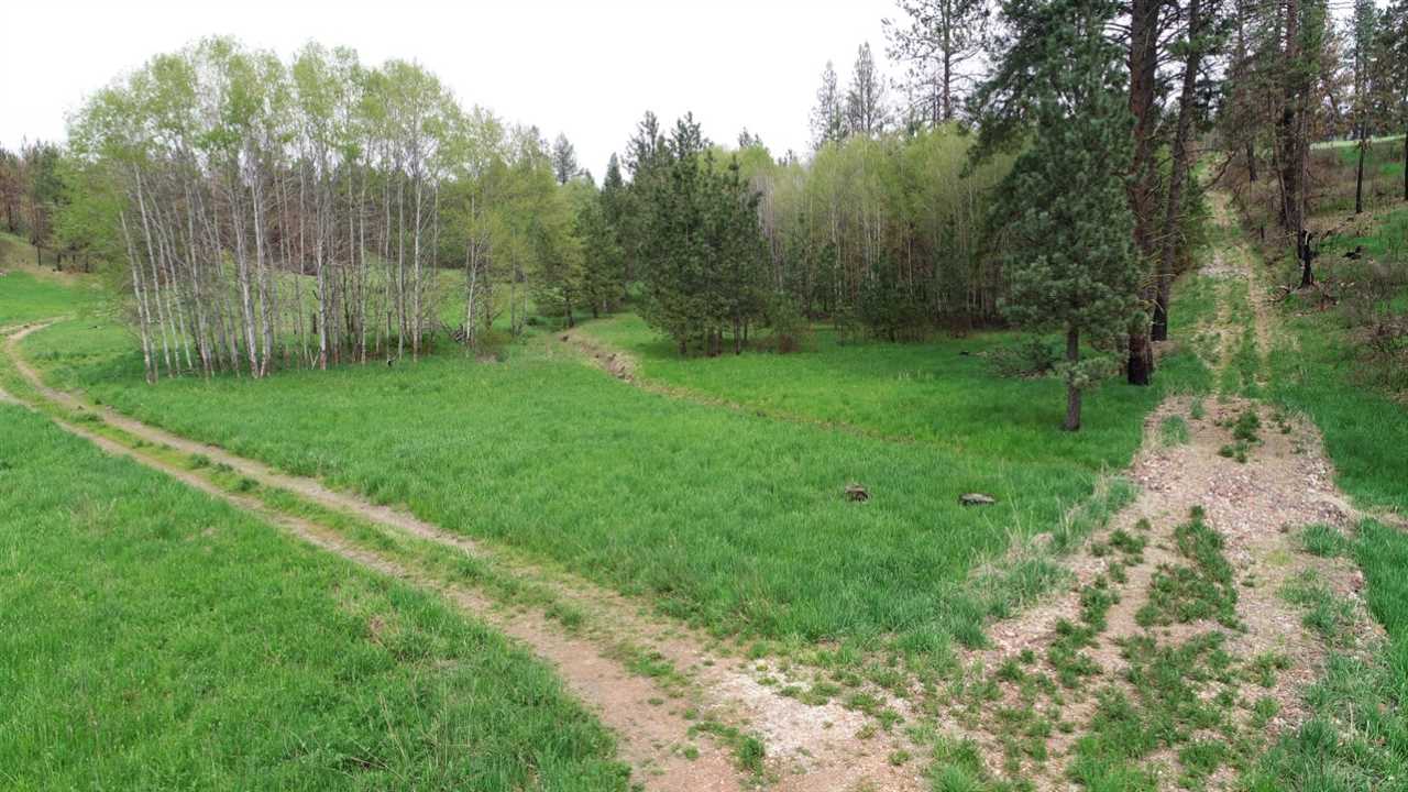 Nka South Jons Road Mica, WA 99023 - Photo 4 of 20 Gallery Image 4