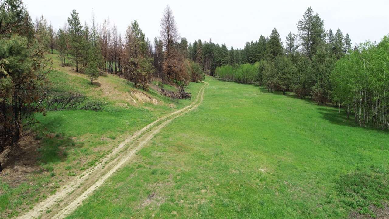 Nka South Jons Road Mica, WA 99023 - Photo 6 of 20 Gallery Image 6