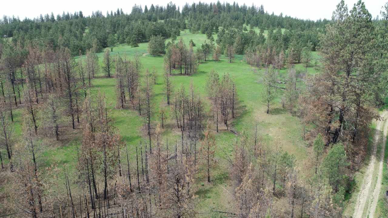Nka South Jons Road Mica, WA 99023 - Photo 8 of 20 Gallery Image 8