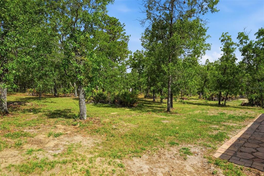 17469 Maberly Road Weeki Wachee, FL 34614 - Photo 57 of 66