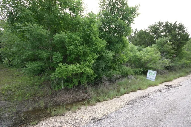 a view of a lake with a forest