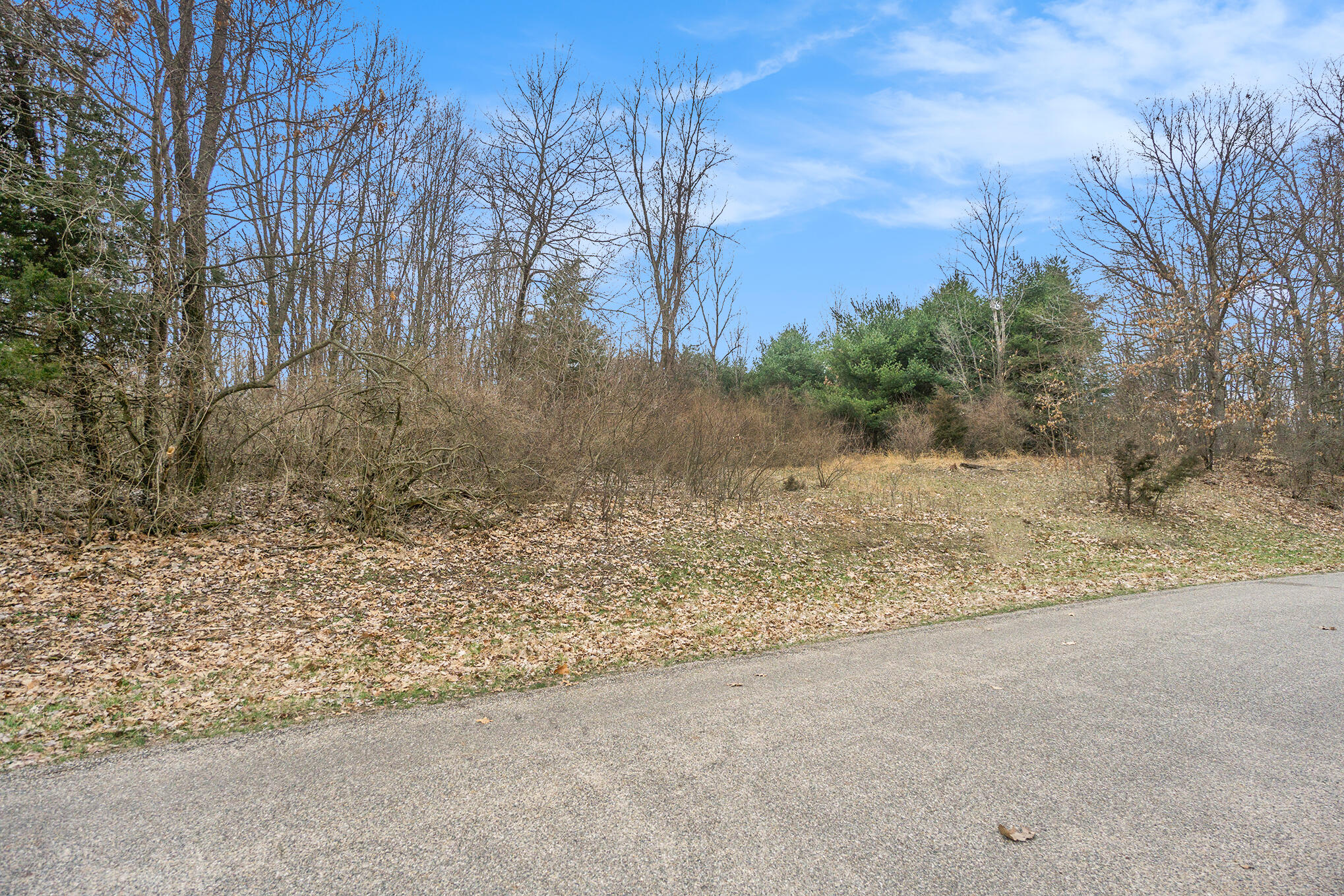 Lot 7 Highfield Road Three Rivers, MI 49093 - Photo 12 of 20 DSC05086