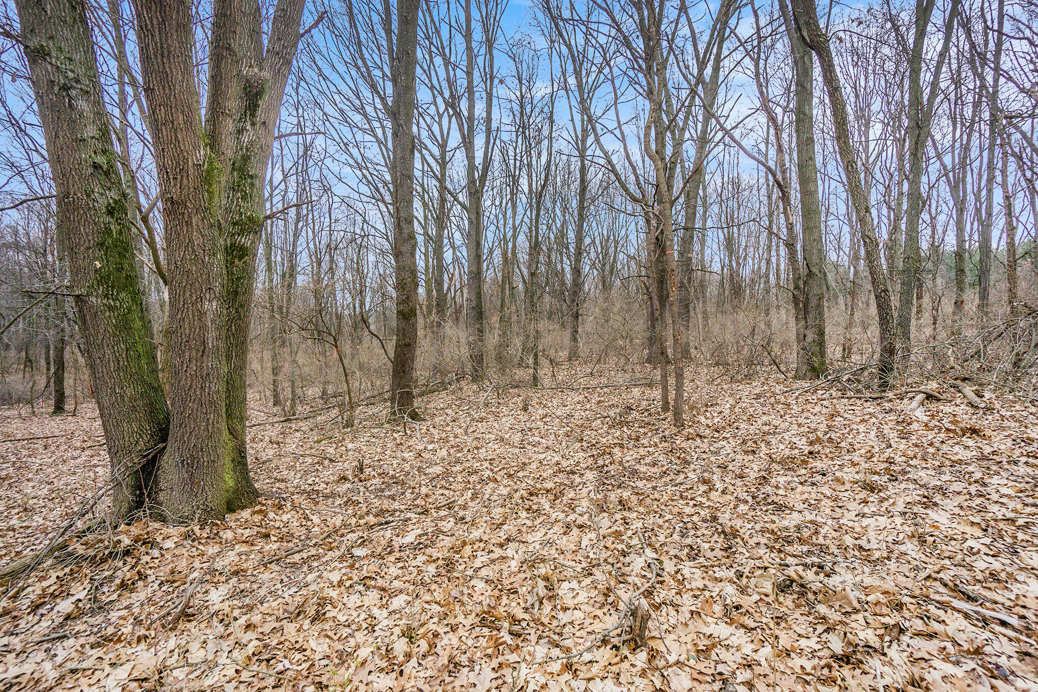 Lot 7 Highfield Road Three Rivers, MI 49093 - Photo 18 of 20 DSC05115