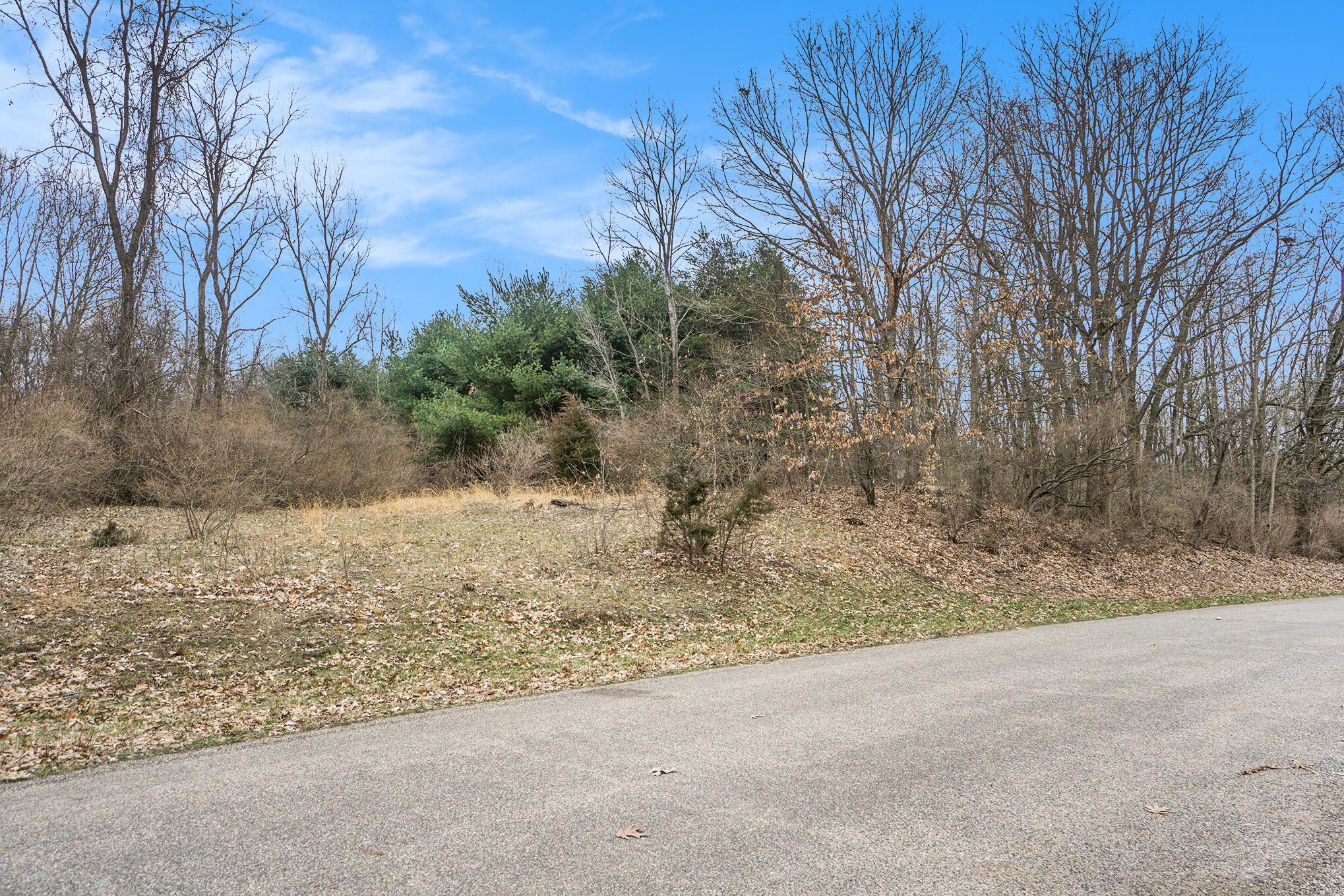 Lot 7 Highfield Road Three Rivers, MI 49093 - Photo 19 of 20 DSC05118