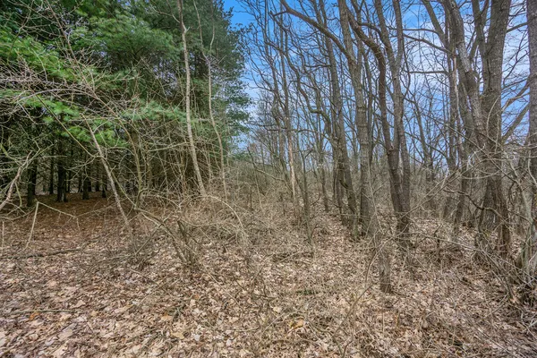 $67,588 | Lot 7 Highfield Road, Three Rivers, MI 49093