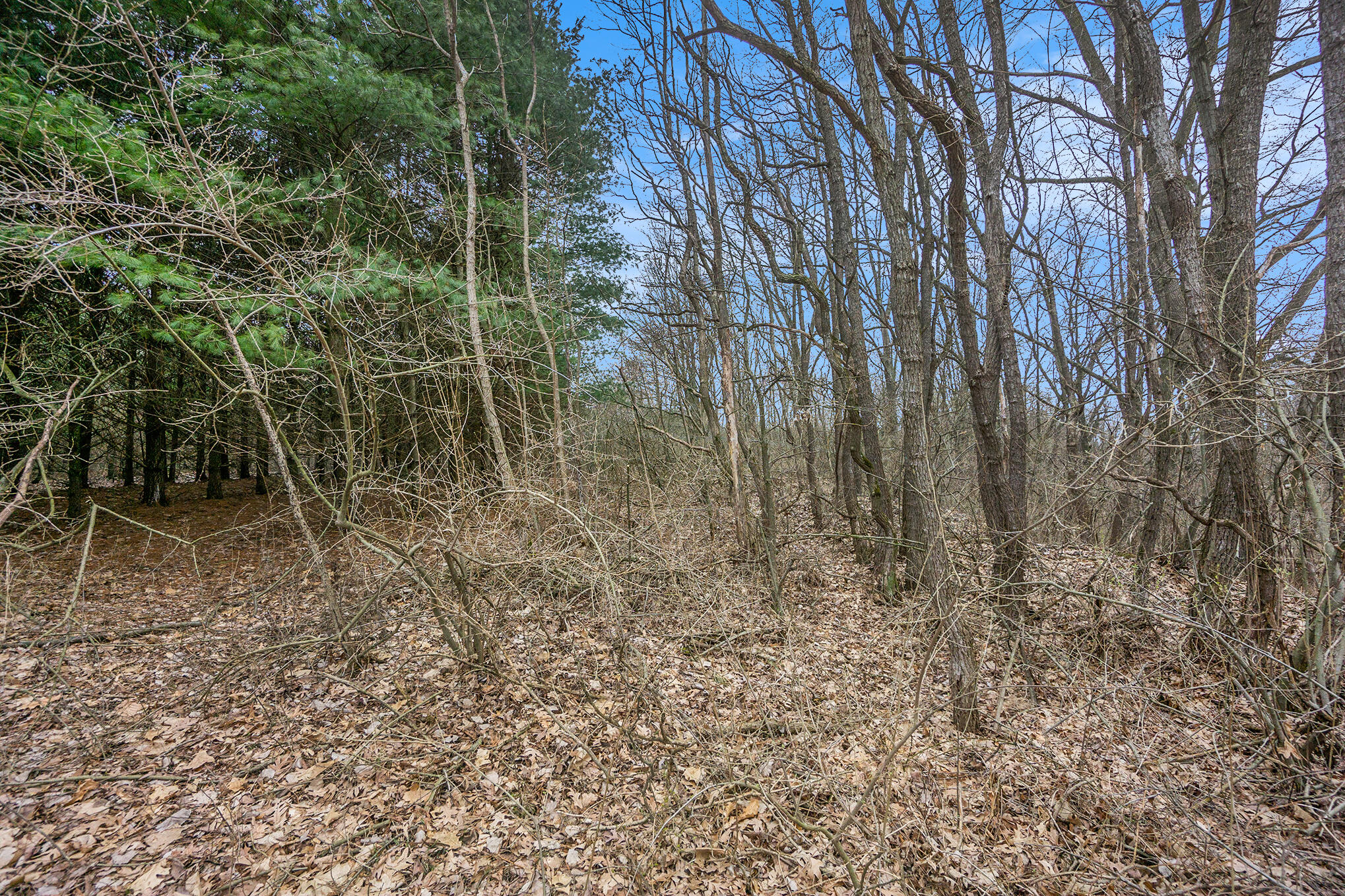 Lot 7 Highfield Road Three Rivers, MI 49093 - Photo 20 of 20 DSC05120