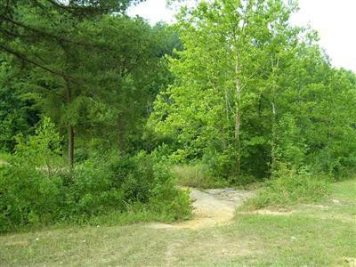 648 Valentine Branch Road Cannon, KY 40923 - Photo 7 of 11 Photo 7