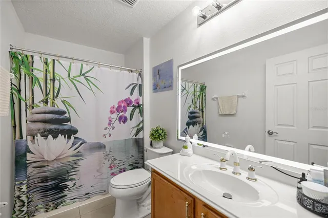 a bathroom with a sink vanity mirror and toilet