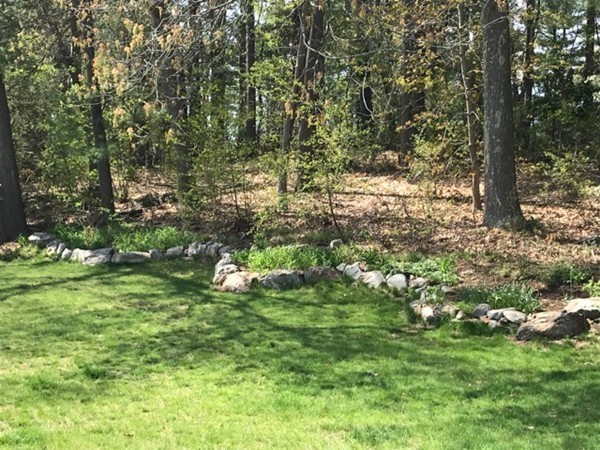 130 Argilla Road Andover, MA 01810 - Photo 23 of 24 a view of a tree in a yard