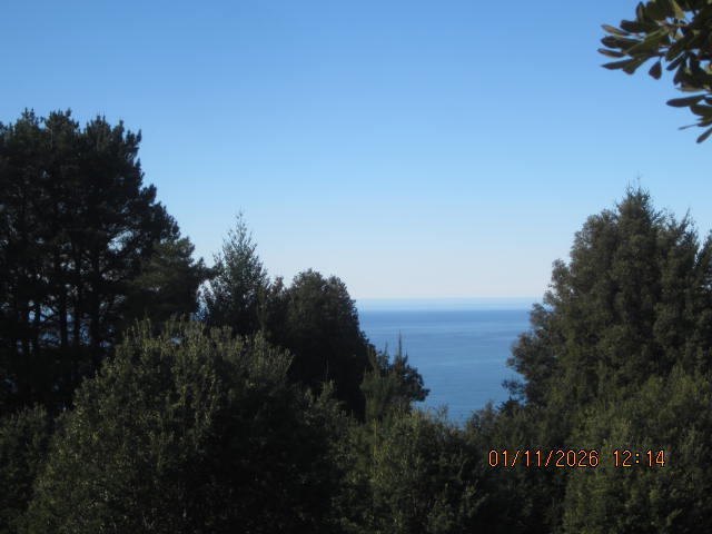 2715 Toth Road Shelter Cove, CA 95589 - Photo 15 of 27 IMG_0765