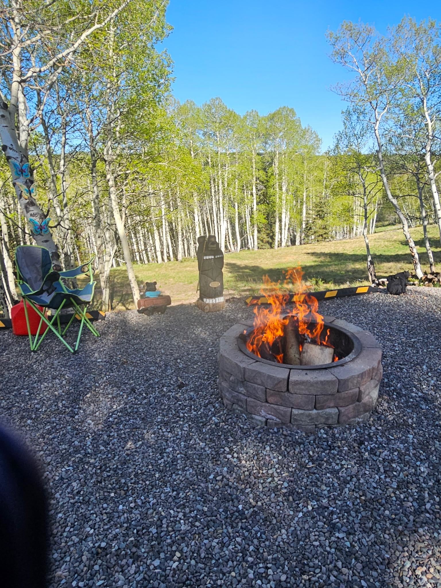 1255 Spruce Road Cimarron, CO 81220 - Photo 13 of 17 a view of a swimming pool with a patio