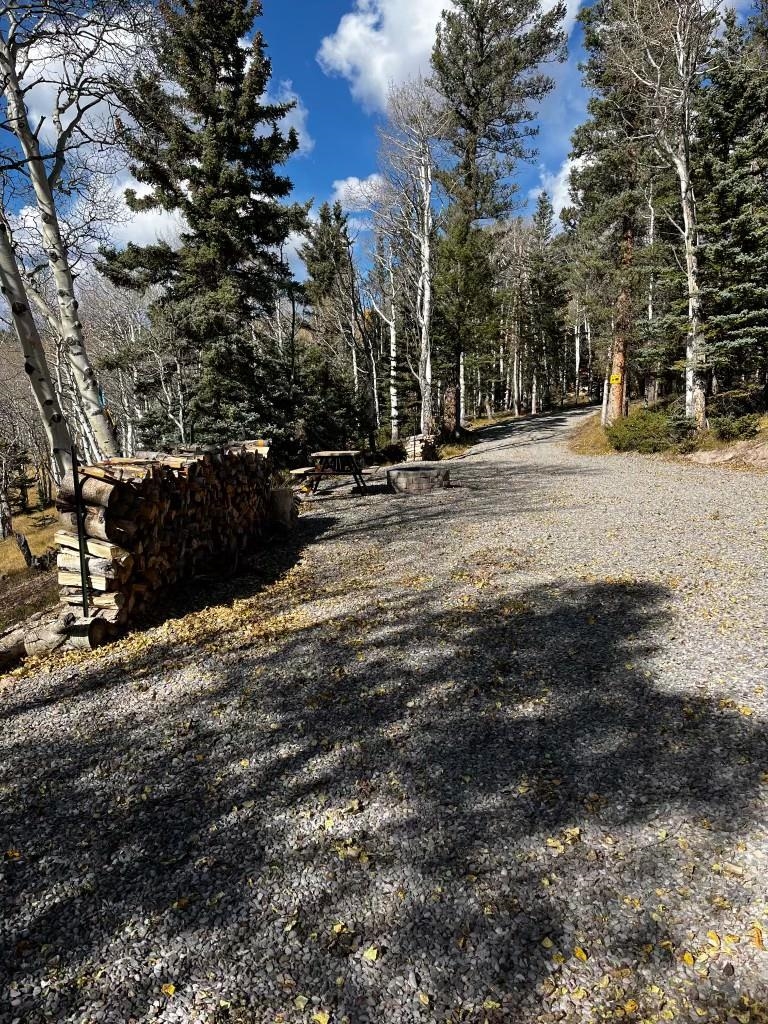 1255 Spruce Road Cimarron, CO 81220 - Photo 14 of 17 a view of road with covered with snow