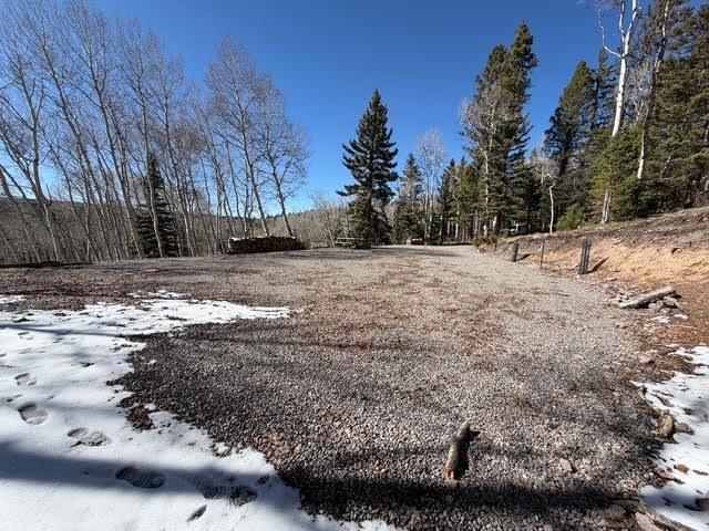 1255 Spruce Road Cimarron, CO 81220 - Photo 15 of 17 a view of a yard with a tree