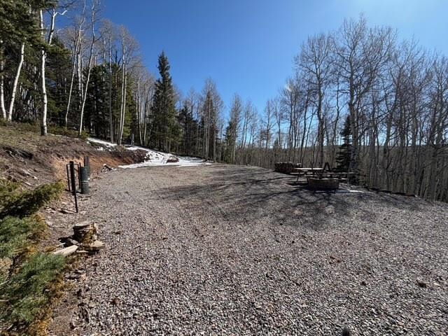 1255 Spruce Road Cimarron, CO 81220 - Photo 16 of 17 a view of outdoor space with trees