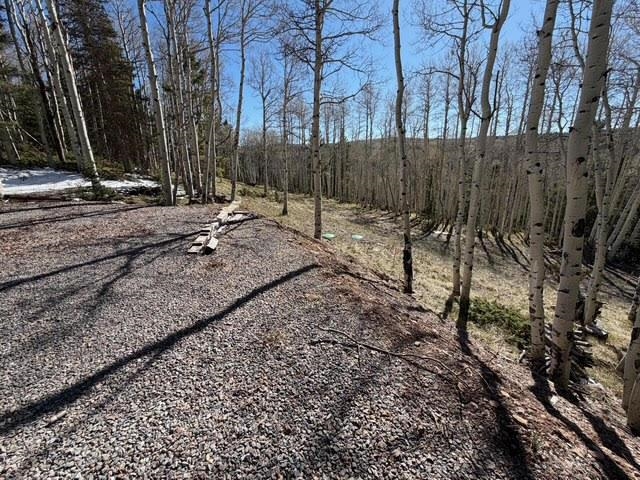 1255 Spruce Road Cimarron, CO 81220 - Photo 17 of 17 a view of backyard space