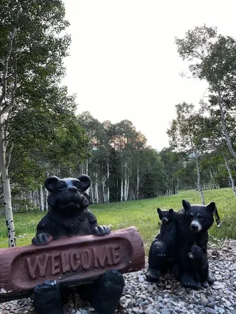 $114,950 | 1255 Spruce Road, Cimarron, CO 81220