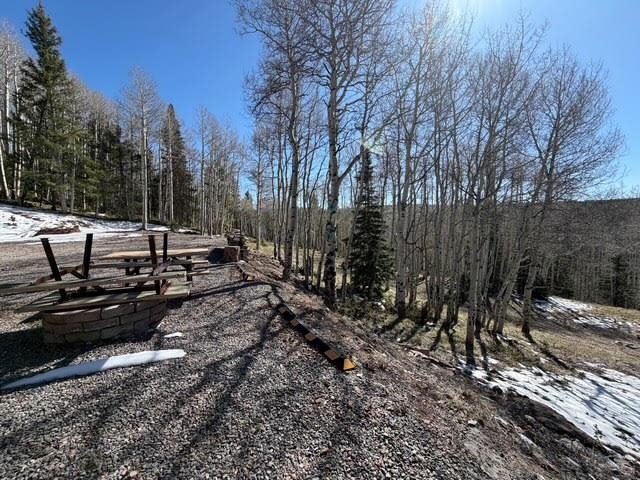 1255 Spruce Road Cimarron, CO 81220 - Photo 3 of 17 a view of a park with large trees