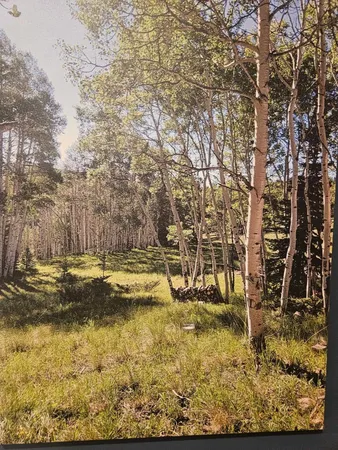 $114,950 | 1255 Spruce Road, Cimarron, CO 81220