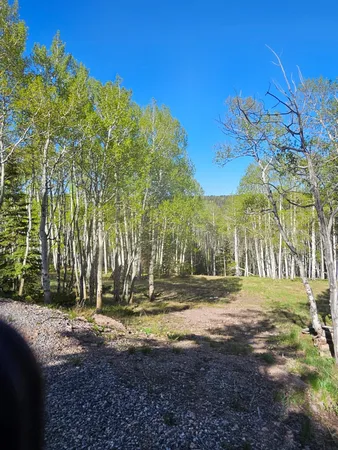 $114,950 | 1255 Spruce Road, Cimarron, CO 81220