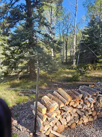 $114,950 | 1255 Spruce Road, Cimarron, CO 81220